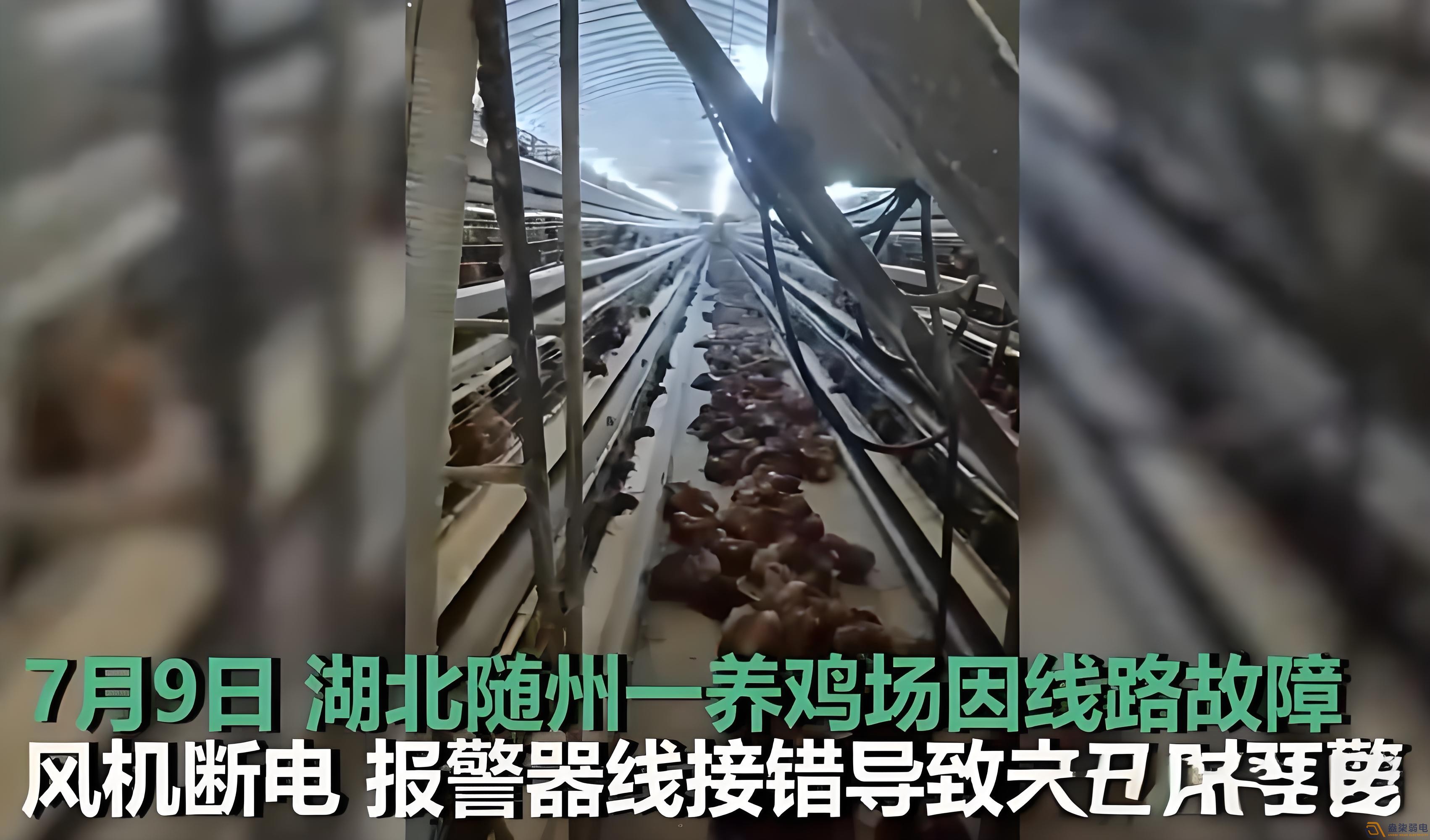 養(yǎng)雞場為什么要24h監(jiān)測溫濕度斷電報警器？