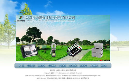 武漢網(wǎng)站設(shè)計項目 武漢市中洋興業(yè)科技發(fā)展網(wǎng)站開通
