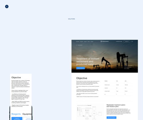 俄羅斯能源清潔公司biomicrogel網(wǎng)站ui設(shè)計(jì)