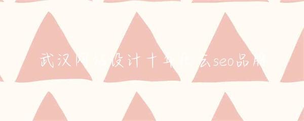 武漢網(wǎng)站設(shè)計(jì)十年歷程與樂云SEO品牌的成長